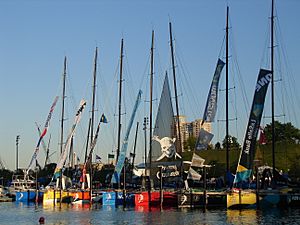 VolvoOceanRace2006Yachts