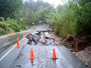 Waterfall Gully flood