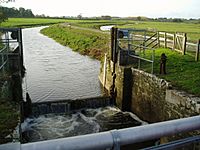 WestportCanalMidelneyLock