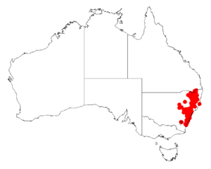 Acacia filicifoliaDistMap356.png