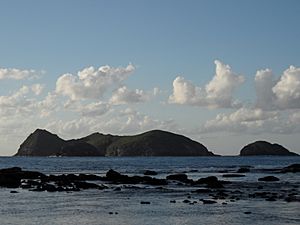 Admiralty Group off Ned's Beach LordHoweIsland 4June2011