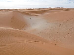 Adrar sands