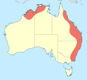 Austrocordulia distribution map.svg