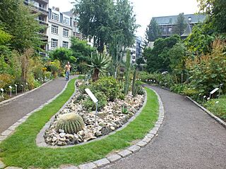 Botanical garden