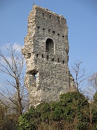 Bramber Castle from Bramber churchyard