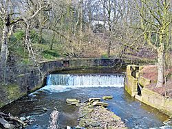 Burnley Wier.jpg