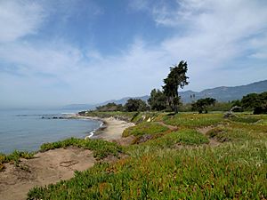 Carpinteria State Beach.jpg