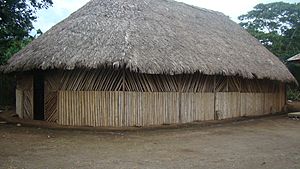 Casa Shuar, Logroño