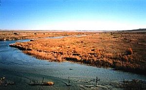 Cimarron river near forgan ok.jpg