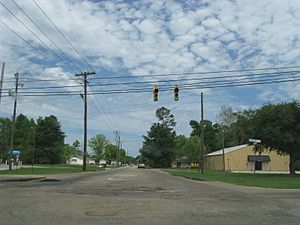 CornerofPalestine&Beech