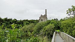 Dromore Castle walkway