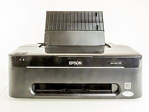 Epson Stylus S22-3859