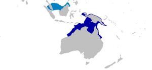 Eucrossorhinus dasypogon distmap.png