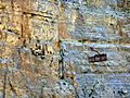 Flying foxes across river chasm in Ladakh