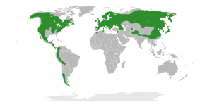 Grossulariaceae Distribution.svg