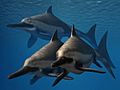 Ichthyosaurus anningae trio NT small