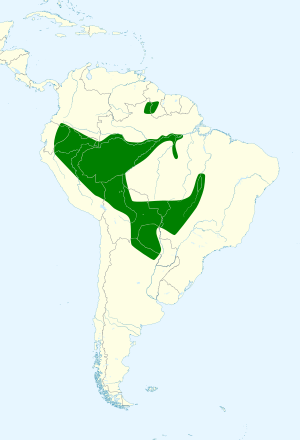 Map showing range I. croconotus