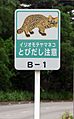 Iriomote yamaneko warning sign