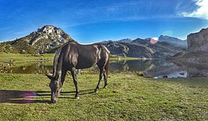 Lago Ercina 2015