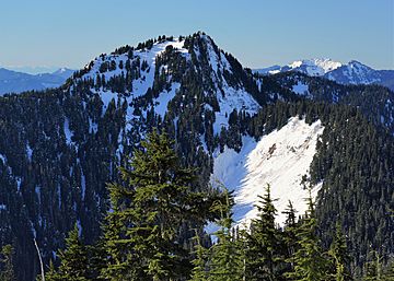 Lookout Mountain Lookout.jpg