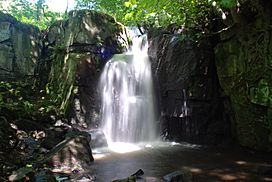 Lumsdale Falls.jpg