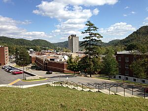 MSU campus from West Mignon Hall