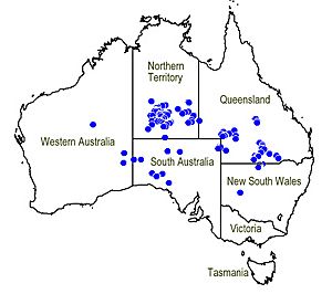 Map.Dicrastylis lewellinii.jpg