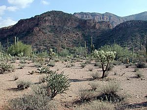 Mineral mountains arizona