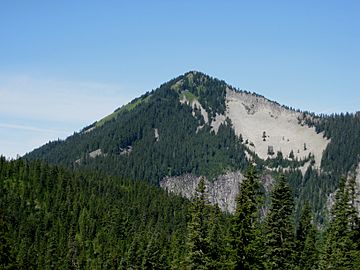 Mount Defiance.jpg