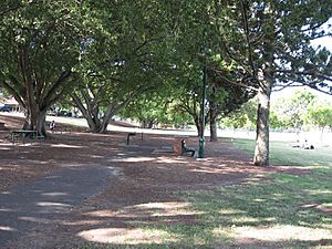 New Farm Park, picnic facilities