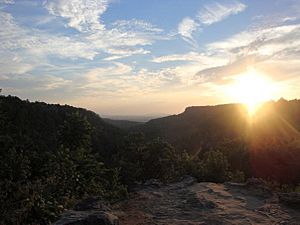 Petit Jean Mountain