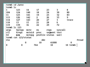 Plan 9 from Bell Labs (process management)