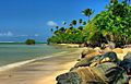 Puerto Rico beach at the Gran Melia Golf Resort, Rio Grande, Puerto Rico, U.S