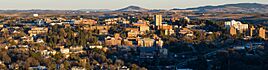 Aerial view of the Washington State University campus