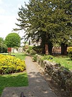 Ruined wall of Chertsey Abbey (165892 0994f2f8)