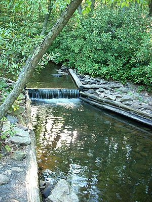 SBSP Rapid Run Dam