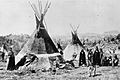 Shoshoni tipis