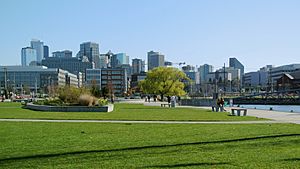 South Lake Union cityscape