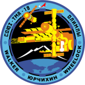 Soyuz-TMA-19-Mission-Patch.png