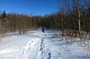 Summit of Mount Raimer