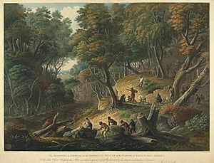 The Maroons In Ambush On The Dromilly Estate In The Parish Of Trelawney, Jamaica in 1795