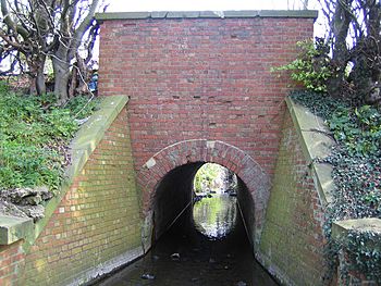 The Rye at Gutters Bridge - geograph.org.uk - 403189.jpg