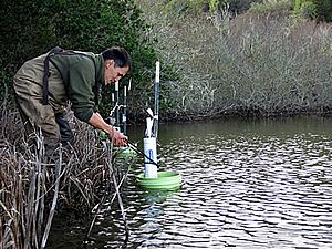 Tidewater goby release - Tomales Bay California