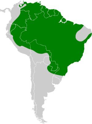 Tityra cayana map.svg