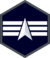 USSF Specialist 4.svg