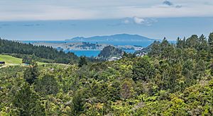 Whenuakite Kiwi Zone Viewpoint 02