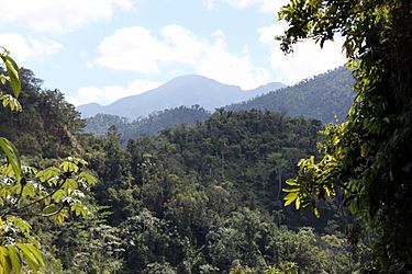 2012-02-Sierra Maestra Turquino Nationalpark Kuba 05 anagoria