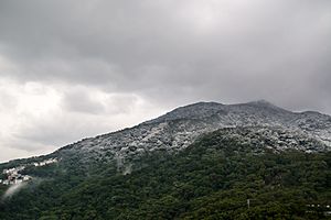 20160124大屯山下雪-2