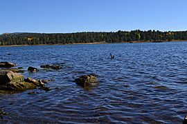 A View of Hawley Lake