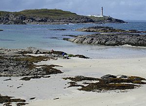 Ardnamurchan point.jpg